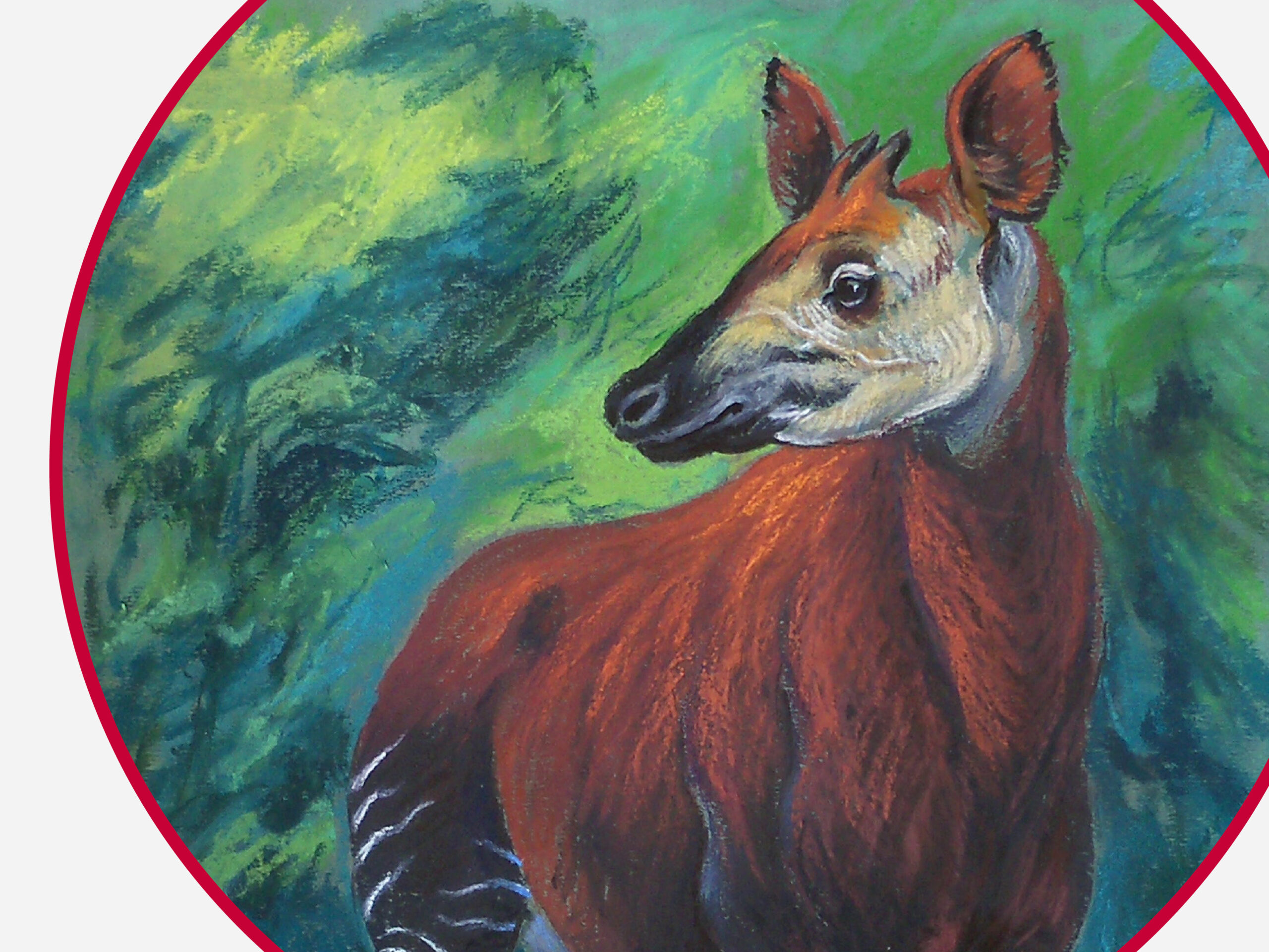 Titelbild Okapi von Reiner Zieger